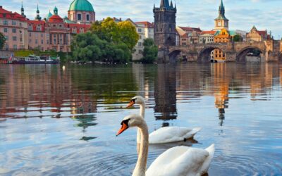 ¿Huevos en el Puente de Carlos?